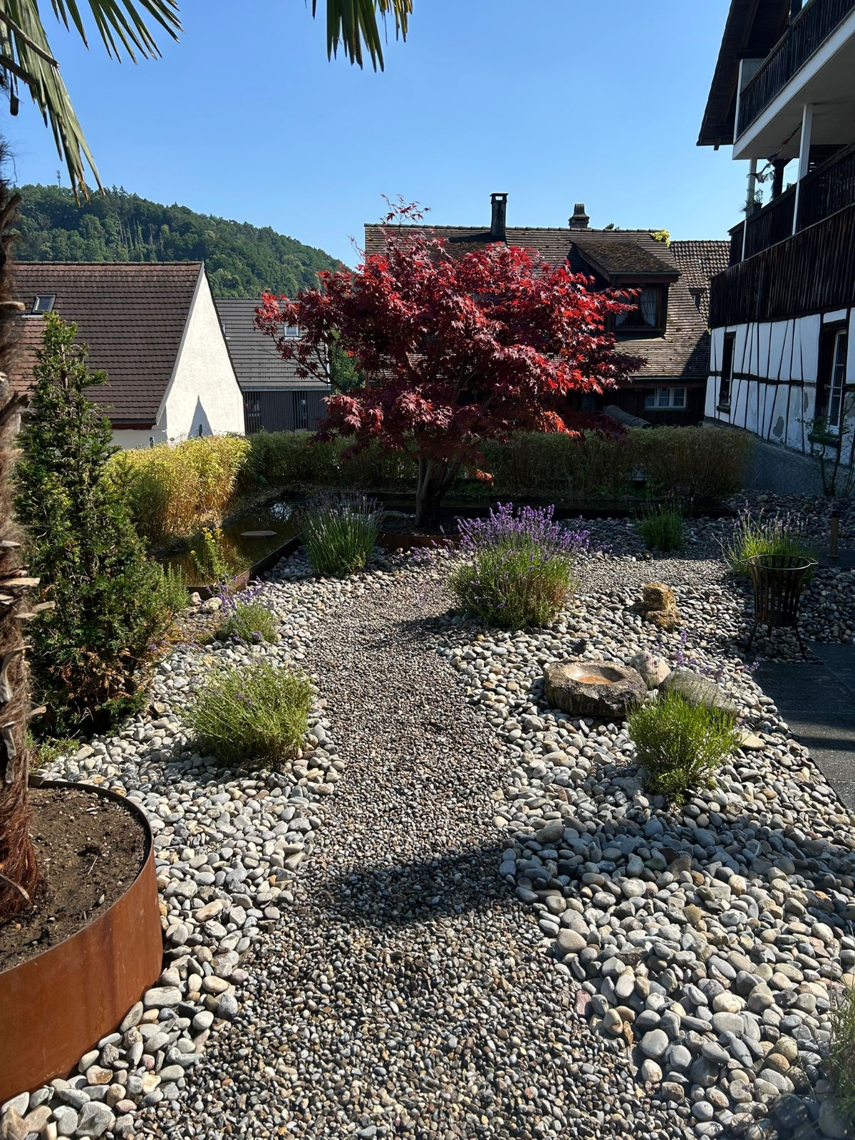 Gartenprojekt Bild 5